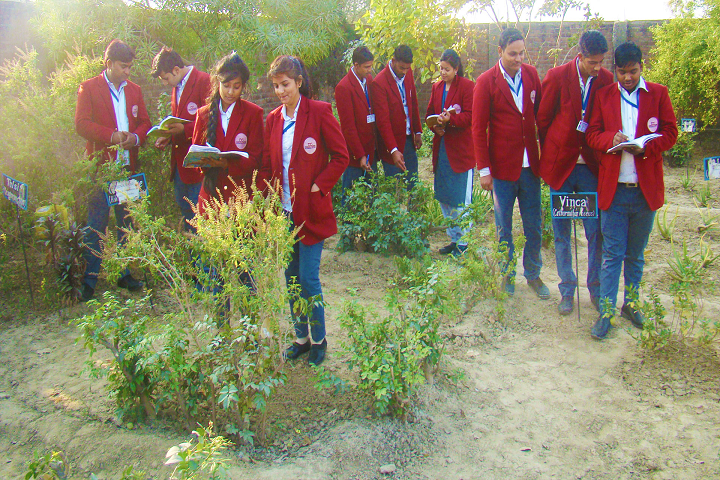 https://cache.careers360.mobi/media/colleges/social-media/media-gallery/9911/2021/7/8/Herbal garden of Dayanand Dinanath College of Management Kanpur_Others.png